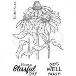 Woodware Clear Stamp Set Echinacea with Sentiments | Set of 4