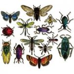 Sizzix Framelits Die Set Entomology Set of 14 by Tim Holtz