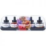 Ecoline Liquid Watercolour Ink Set Additional 30ml | Set of 5