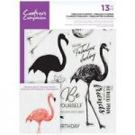 Crafter’s Companion A5 Layering Stamp Set Fabulous Flamingo | Set of 13
