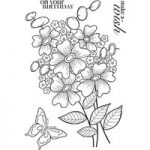 Woodware Polymer Stamp Bold Blooms Beatrice with Sentiments Clear Set of 4 | 10.5cm x 17.5cm