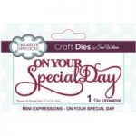 Sue Wilson Die On Your Special Day Sentiment | Mini Expressions