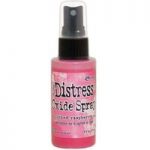 Ranger Distress Oxide Ink Spray by Tim Holtz | Picked Raspberry