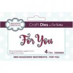 Sue Wilson Die Set Mini Shadowed Sentiments For You Set of 4