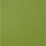 Creative Expressions Foundation Card Lime A4 220gsm Pack of 25