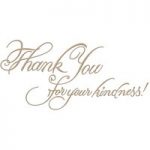 Spellbinders Glimmer Hot Foil Stamp Plate Copperplate Script Thank You For Your Kindness Sentiment by Paul Antonio