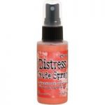Ranger Distress Oxide Ink Spray by Tim Holtz | Abandoned Coral