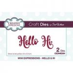 Sue Wilson Mini Expressions Hello & HI Die