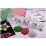 WOW! Trio Embossing Powder and Glitter Festive | Set of 3