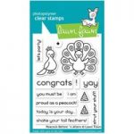 Lawn Fawn Clear Stamp Set Peacock Before ‘n Afters Set of 15 | 3in x 2in