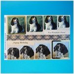 Craft UK A4 Dogs Happy Birthday Square Toppers