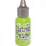 Ranger Distress Oxide Reinker by Tim Holtz | Twisted Citron