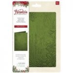 Crafter’s Companion Nature’s Garden 5x7in 3D Embossing Folder Festive Frame | Poinsettia Perfection