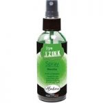 Aladine Izink Dye Ink Spray Mint Green | 80ml