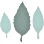 Sizzix Bigz Die Set Wild Leaves Set of 3 by Emily Tootle