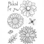 Woodware Clear Stamp Set Picked for You