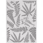 Couture Creations Ferns Embossing Folder (127mm x 177.8mm | 5in x 7in)